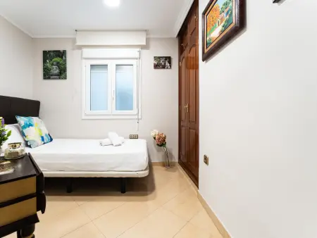 Appartement 3 chambres Soho Málaga, vue rivière : photo 4
