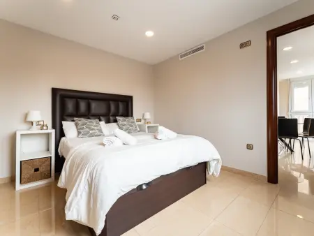 Appartement 3 chambres Soho Málaga, vue rivière : photo 11