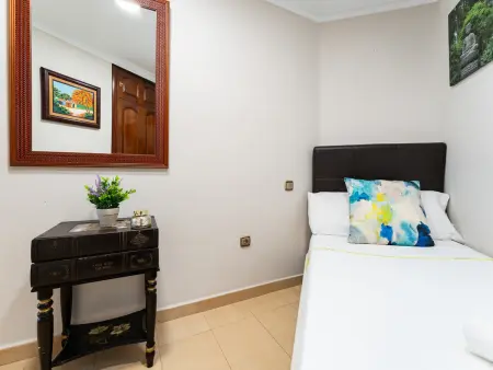 Appartement 3 chambres Soho Málaga, vue rivière : photo 17
