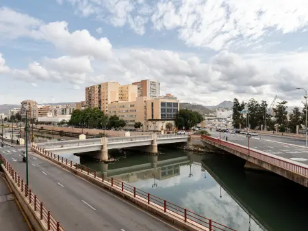Appartement 3 chambres Soho Málaga, vue rivière : photo 21