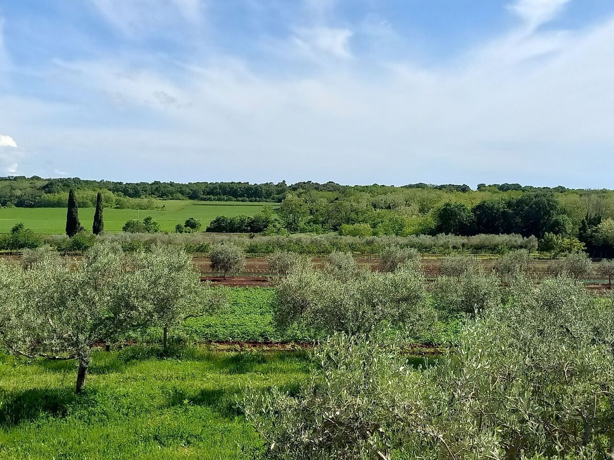 Villa Salvore, maison 10 pers. piscine chauffée, Umag - Photo 43