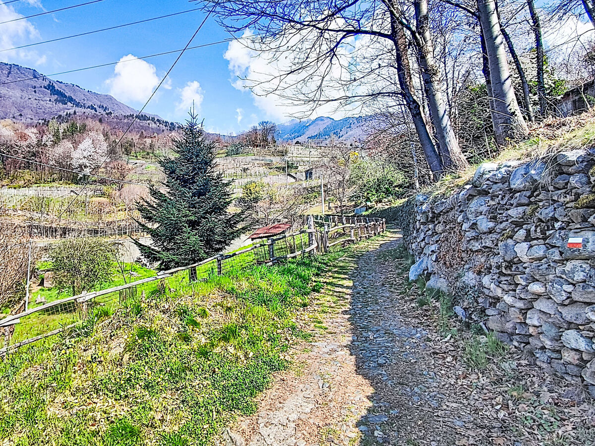 Maison Carla & Ninni, vue panoramique Valtellina - Photo 31