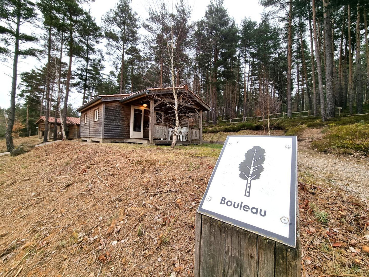 Chalet Bouleau 6 pers. - Animaux OK à Usson-en-Forez - Photo 19