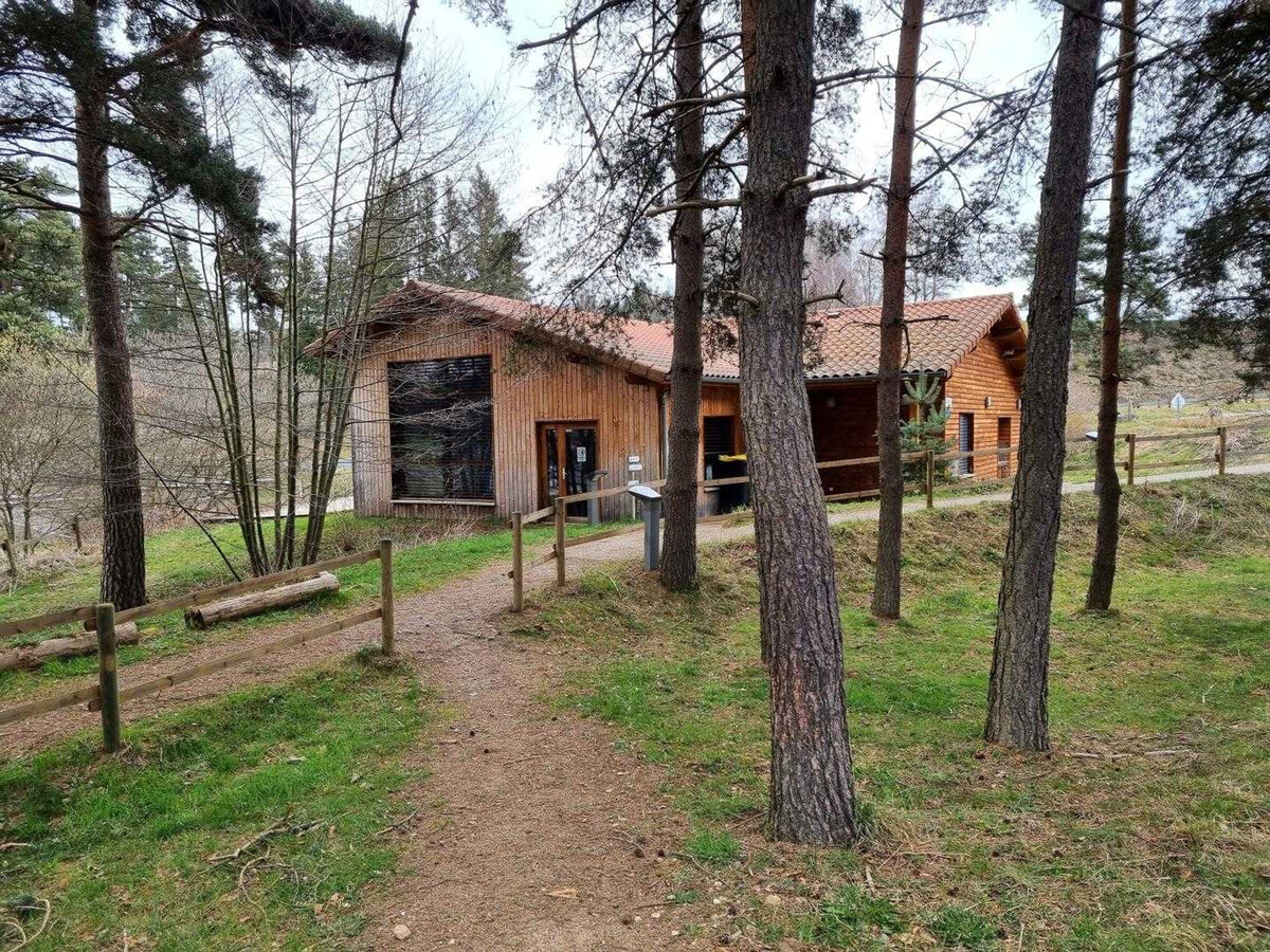 Chalet Houx 6 pers. – Animaux admis, nature à Usson-en-Forez - Photo 22