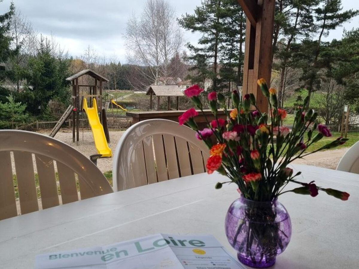 Chalet Myrtille 4 pers. – Terrasse, animaux OK - Photo 16