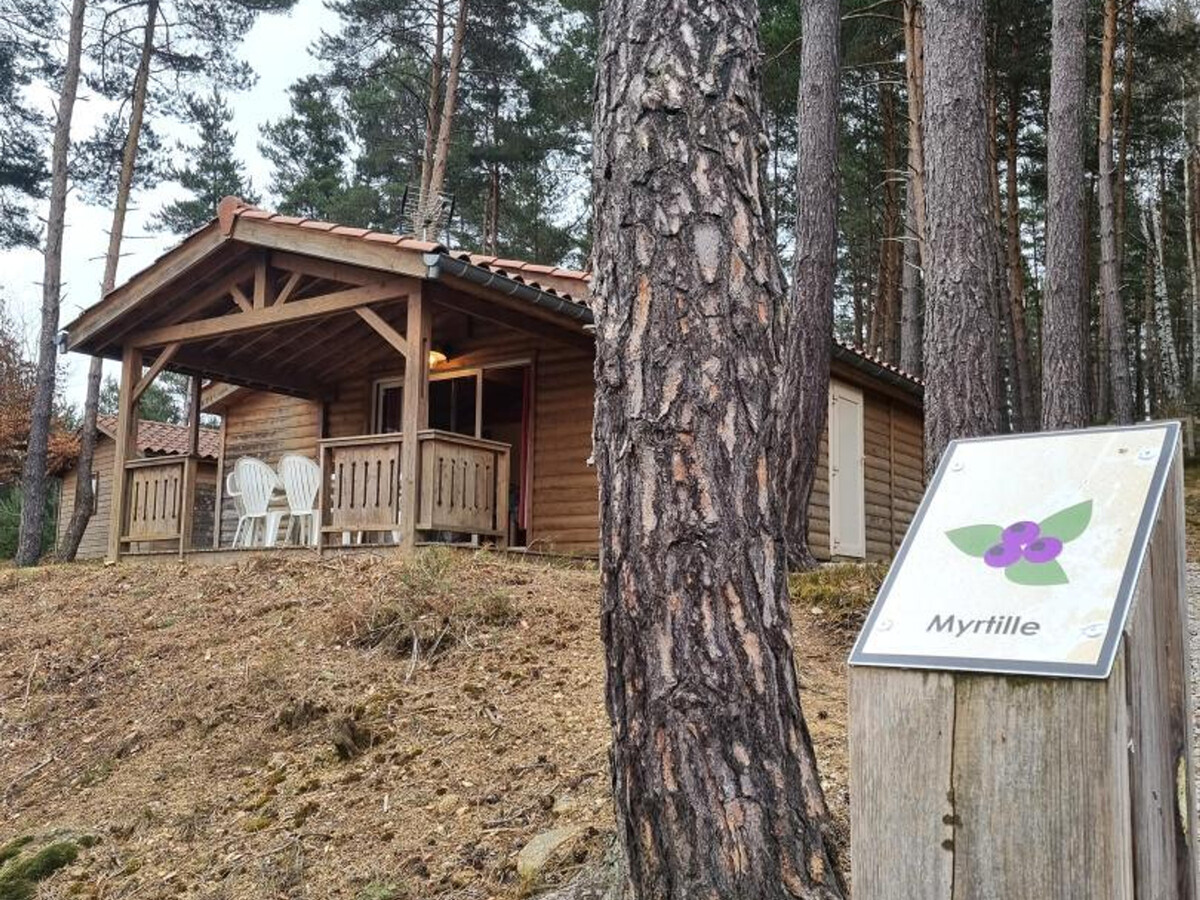 Chalet Myrtille 4 pers. – Terrasse, animaux OK - Photo 18