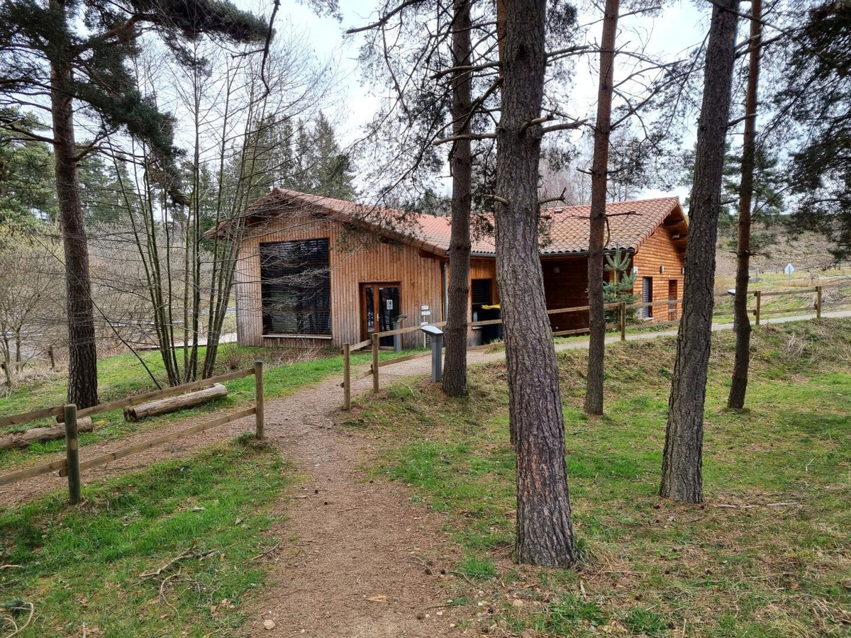 Chalet Myrtille 4 pers. – Terrasse, animaux OK - Photo 31
