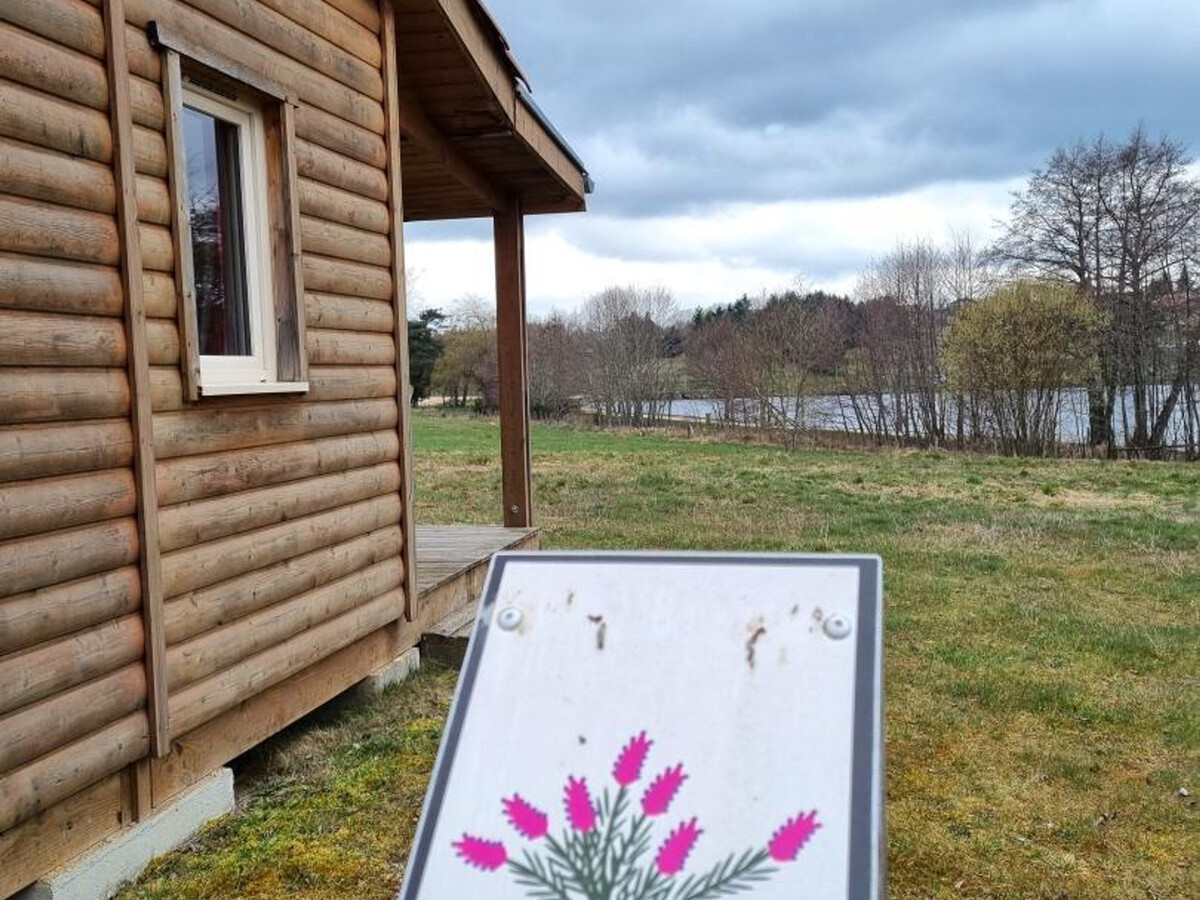 Chalet Bruyère 4 pers. - Animaux admis à Usson-en-Forez - Photo 13