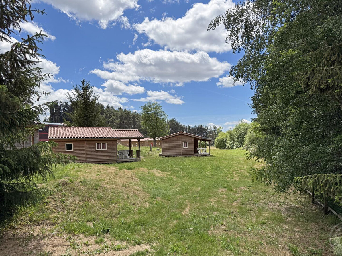 Chalet Bruyère 4 pers. - Animaux admis à Usson-en-Forez - Photo 22