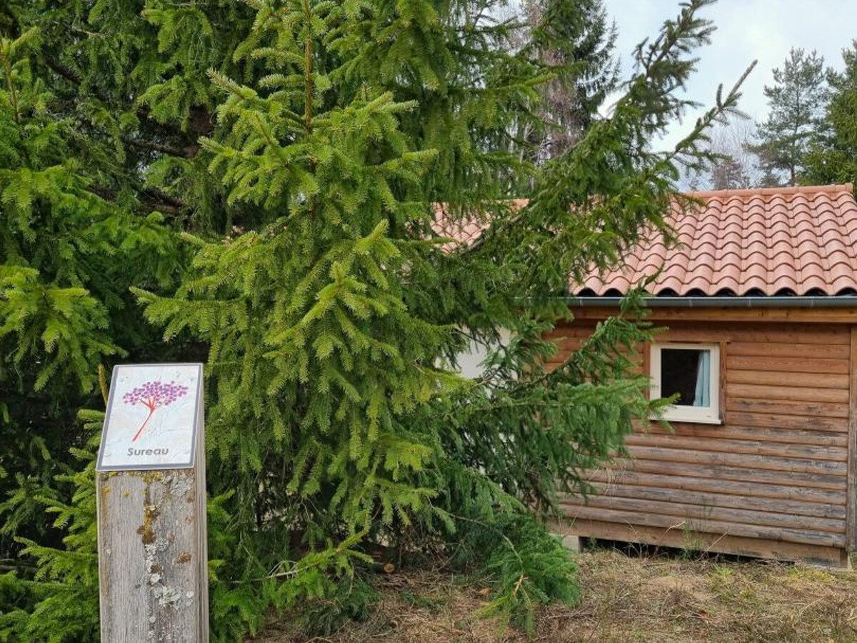 Chalet Sureau 6 pers. avec animaux à Usson-en-Forez - Photo 15
