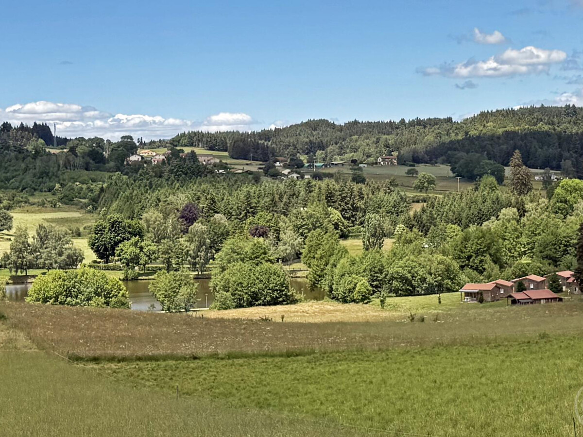Chalet Lilas 6 pers. - Animaux bienvenue à Usson-en-Forez - Photo 17