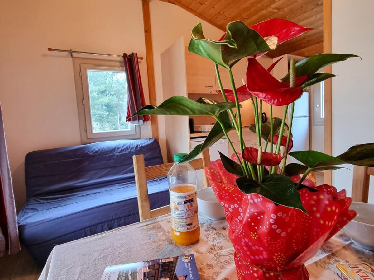 Chalet Genevrier 4 pers., animaux admis à Usson-en-Forez - Photo 6