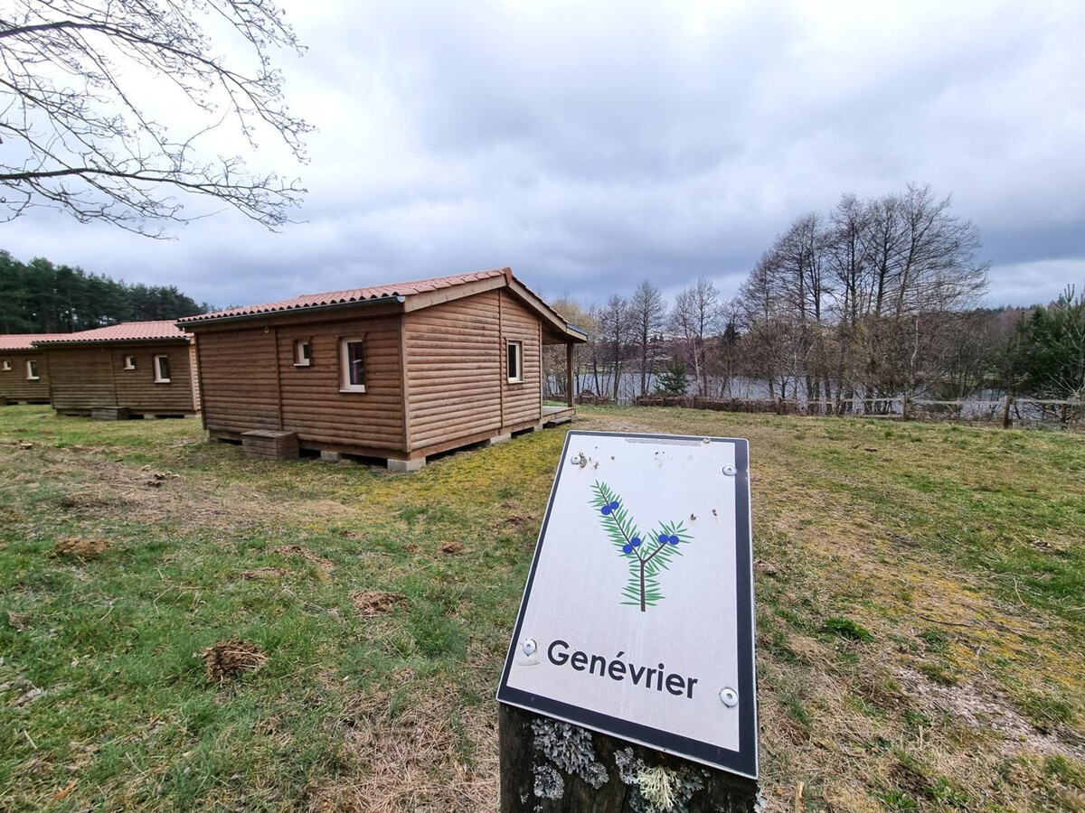 Chalet Genevrier 4 pers., animaux admis à Usson-en-Forez - Photo 14