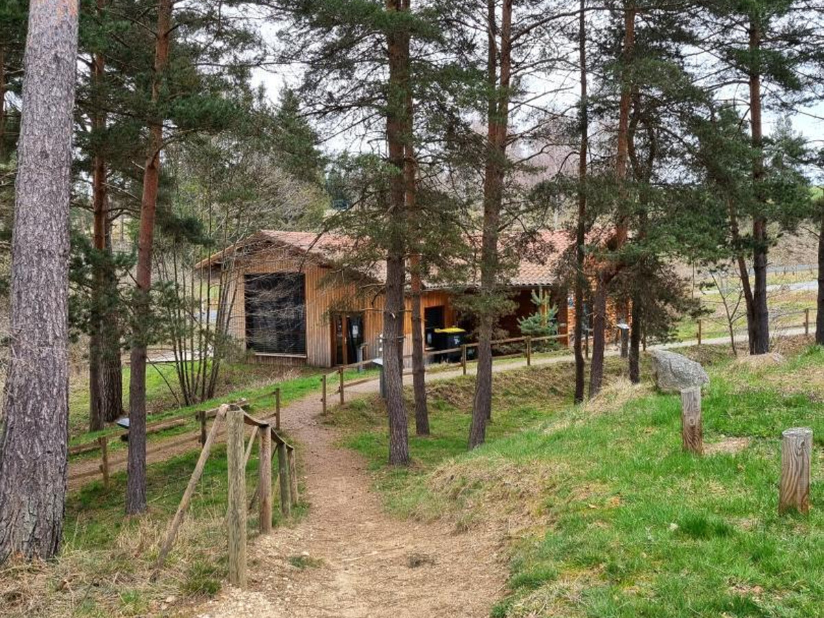 Chalet Genevrier 4 pers., animaux admis à Usson-en-Forez - Photo 19