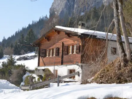 Location maison à Flims, Familie Rüegg, (Flims Fidaz). 4 Zimmer Einfamilienhaus
