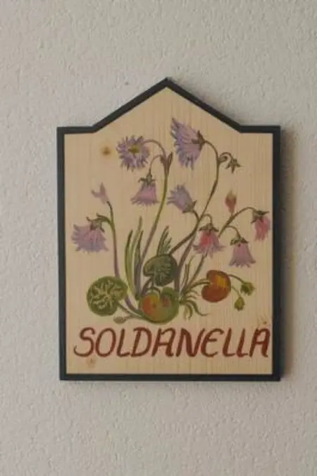 Location appartement à Samnaun, Chasa SERAINA, (Samnaun-Dorf).