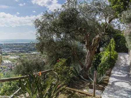 Casa Frantoio di Mommio, maison 8 pers. Toscane : photo 37