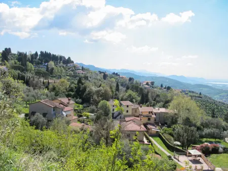 Casa Frantoio di Mommio, maison 8 pers. Toscane : photo 41
