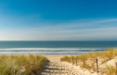 Appartement face à la plage à Biscarrosse : photo 12