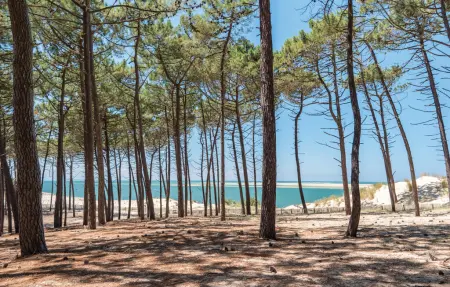 Appartement face à la plage à Biscarrosse : photo 13