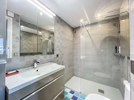 Appartement 1 chambre avec parking - Vue sur les canaux : photo 14