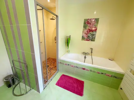 Gîte 9 pers. avec jeux de jardin à La Chapelle-Saint-Martin : photo 12