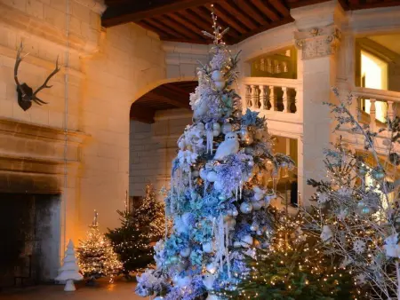 Gîte 9 pers. avec jeux de jardin à La Chapelle-Saint-Martin : photo 33