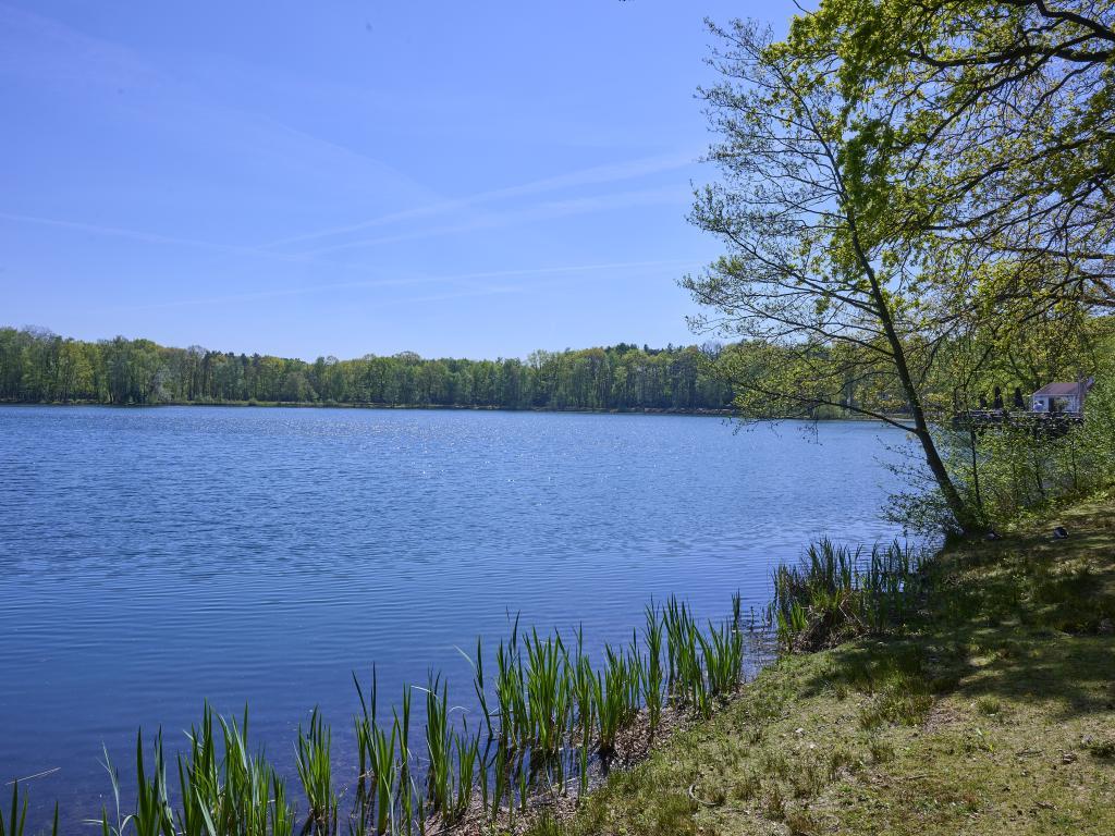 Le Petit Bois : maison familiale en lisière de forêt à Rekem - Photo 32