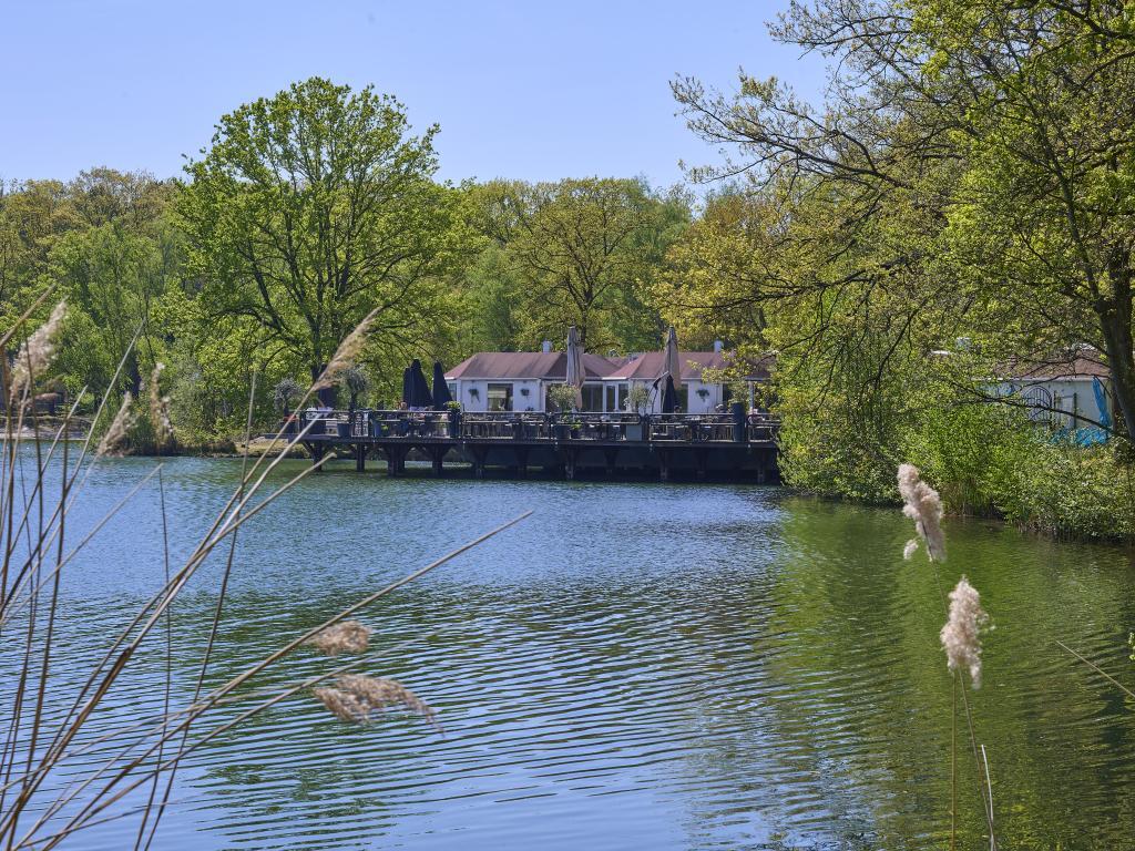 Le Petit Bois : maison familiale en lisière de forêt à Rekem - Photo 33