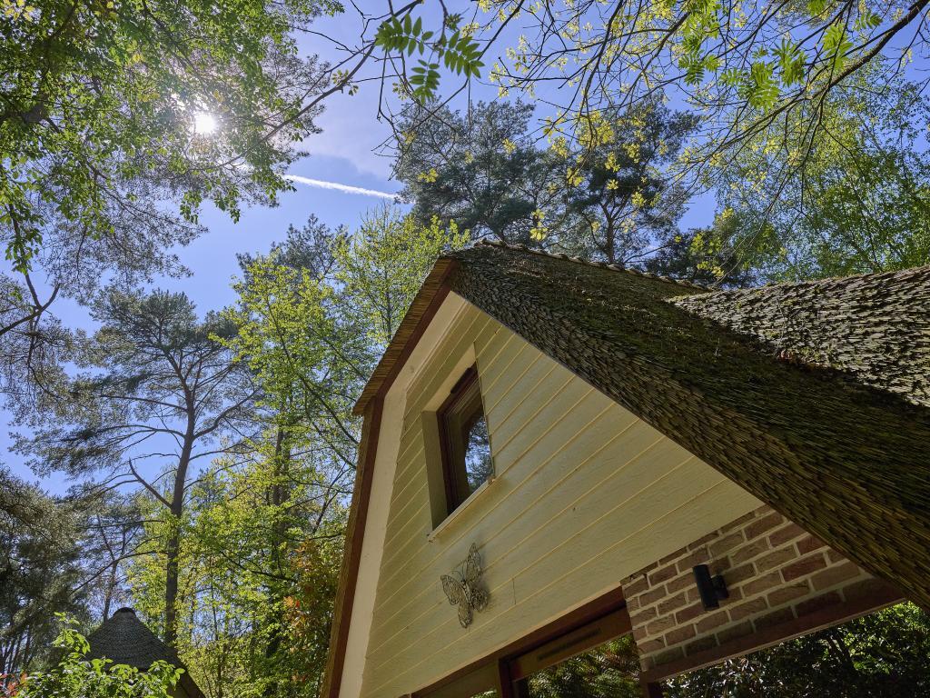 Le Petit Bois : maison familiale en lisière de forêt à Rekem - Photo 36