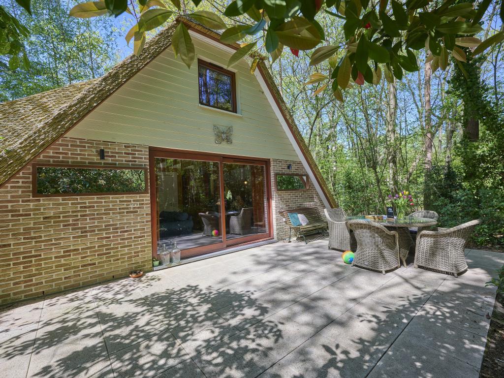 Le Petit Bois : maison familiale en lisière de forêt à Rekem - Photo 37
