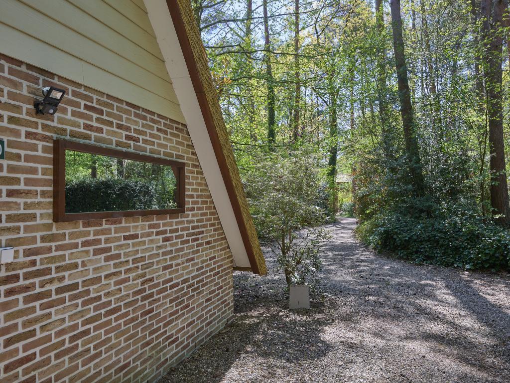 Le Petit Bois : maison familiale en lisière de forêt à Rekem - Photo 41