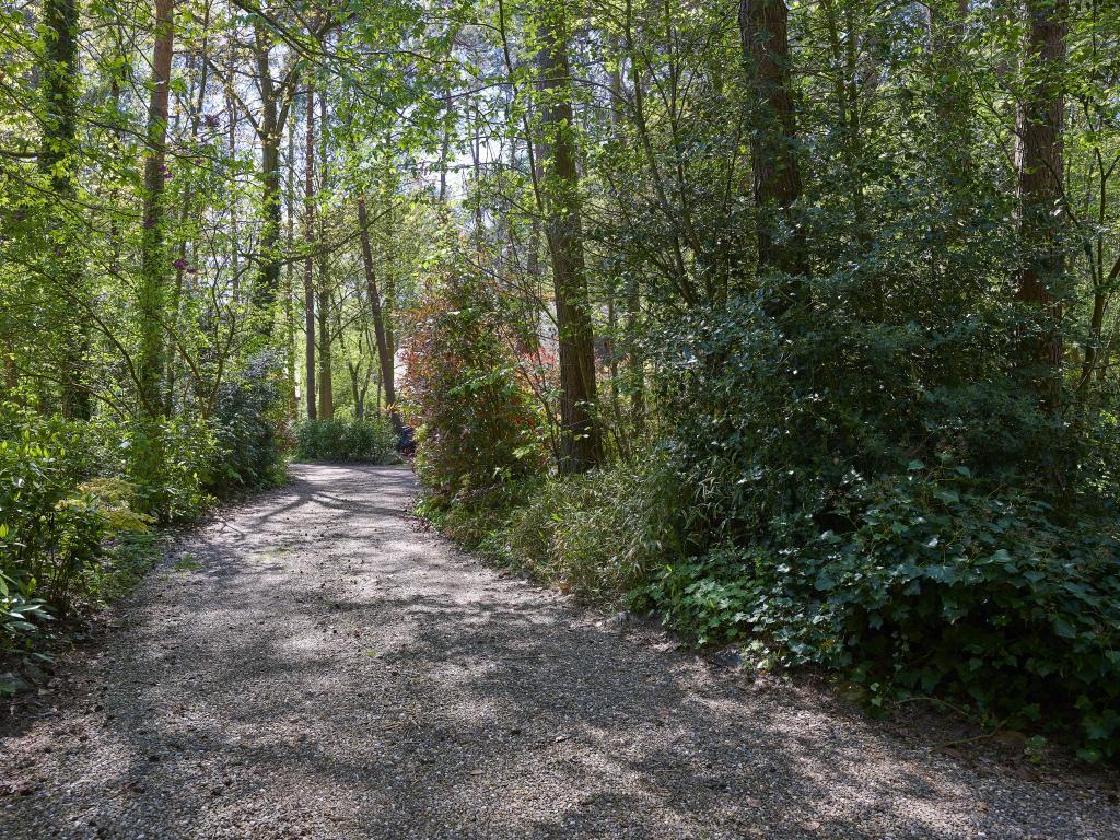 Le Petit Bois : maison familiale en lisière de forêt à Rekem - Photo 42
