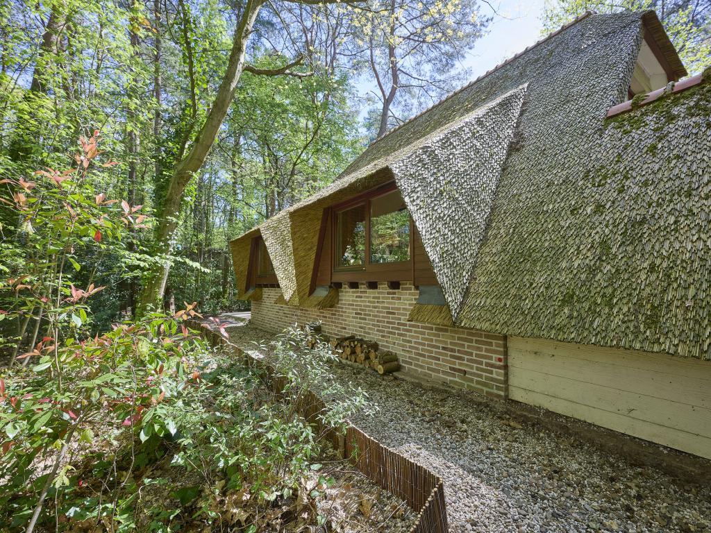 Le Petit Bois : maison familiale en lisière de forêt à Rekem - Photo 43