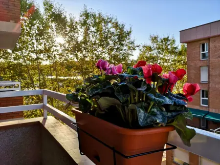 Appartement méditerranéen avec terrasse et piscine à Lloret de Mar : photo 44