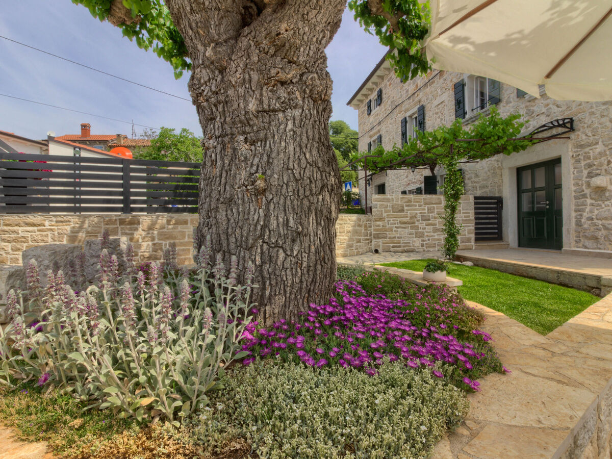 Villa Parentium à Dracevac : maison avec piscine privée - Photo 21