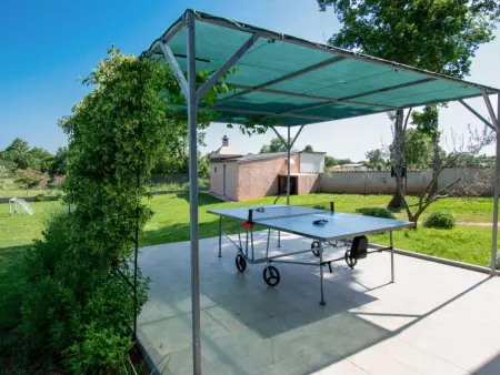 Villa Hacienda Afrodita à Bokordici, piscine et jardin : photo 7