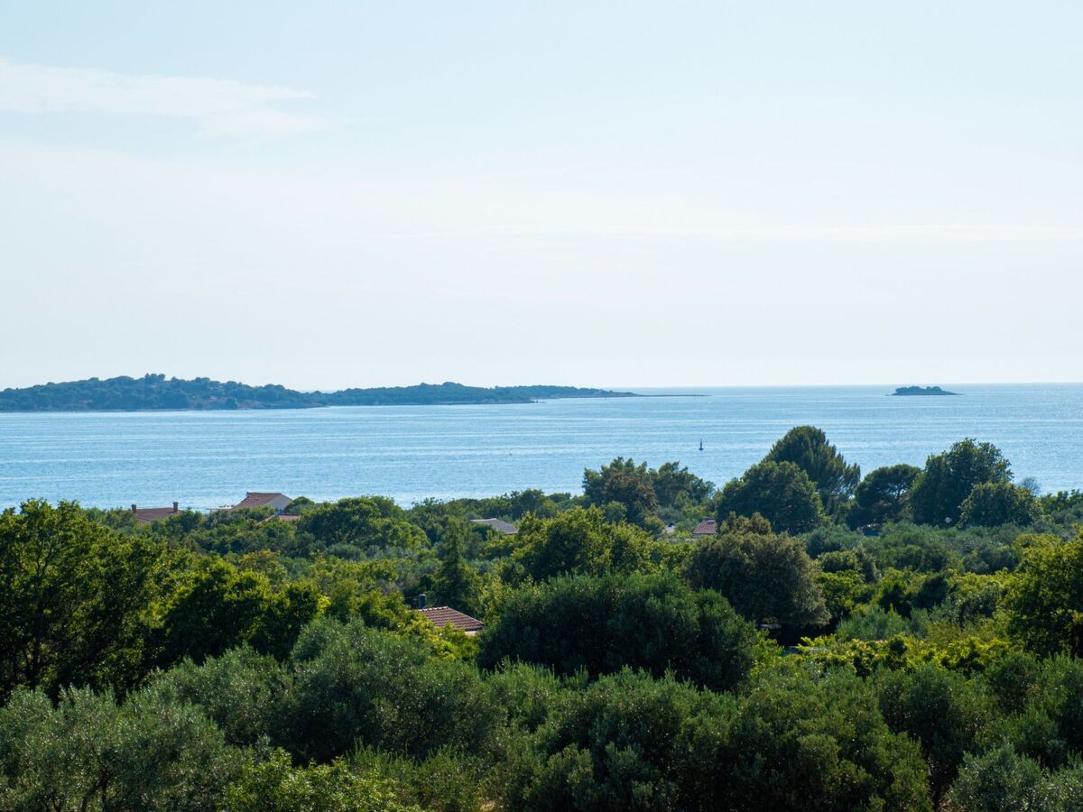 Villa Nini House à Fažana : piscine et vue Brijuni - Photo 3