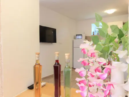 Villa Dvori, 4 chambres avec piscine privée : photo 20