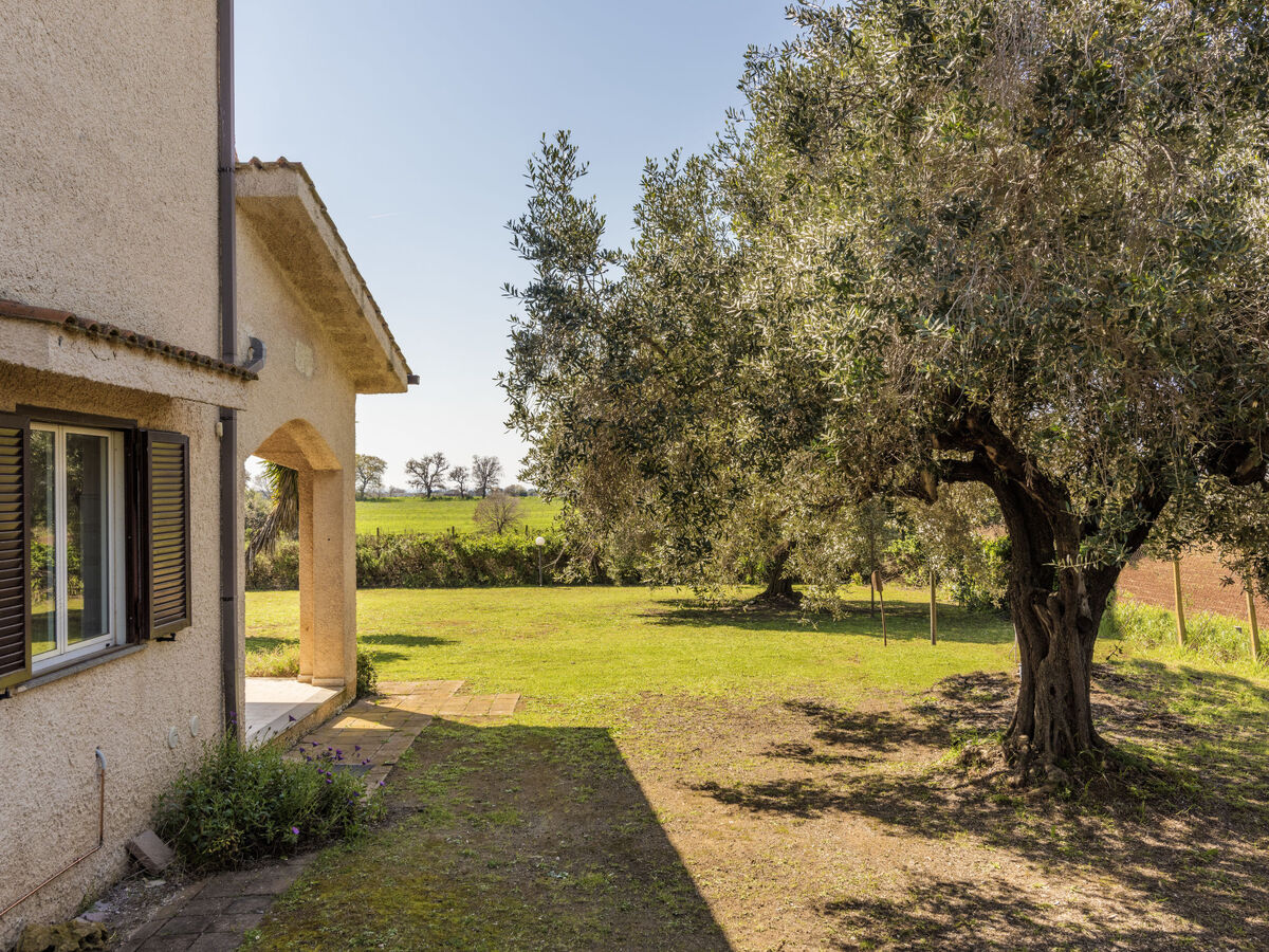 Tarquinia Garden Home – Villa 8 pers. jardin privé - Photo 28