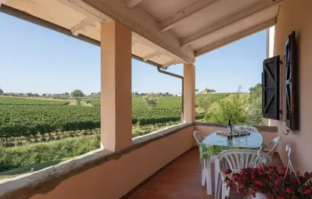 Maison pierre 12 personnes, piscine et jardin à Cortona : photo 3
