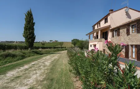 Maison pierre 12 personnes, piscine et jardin à Cortona : photo 11