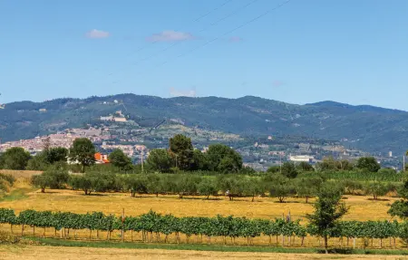Maison pierre 12 personnes, piscine et jardin à Cortona : photo 27