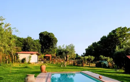 Maison avec piscine et jardin d'oliviers à Siracusa : photo 9