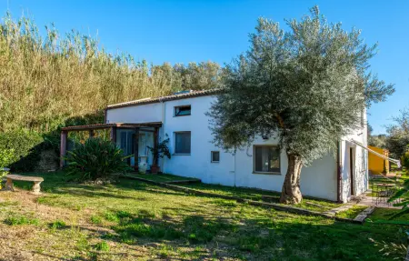 Maison avec piscine et jardin d'oliviers à Siracusa : photo 10