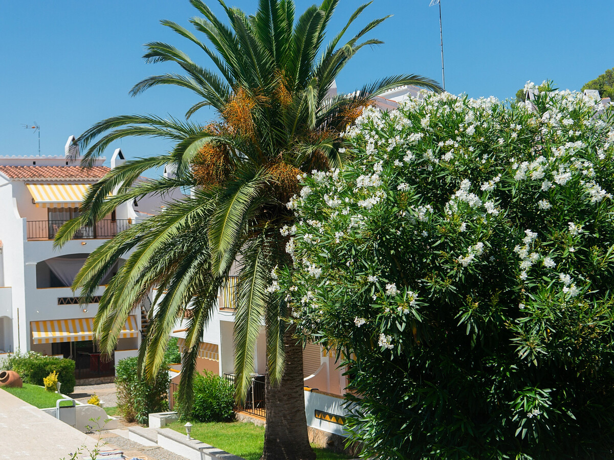 Appartement 30 m² avec terrasse et piscine - Roses - Photo 29