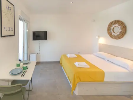 Studio 25 m² vue mer – Terrasse Roses : photo 5