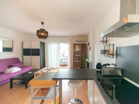 Studio 38 m² climatisé avec balcon privé, Empuriabrava : photo 14