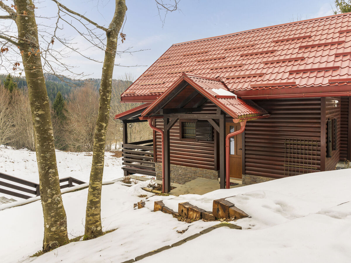 Cozy Bear Cabin, chalet 3 étages avec piscine chauffée - Photo 25