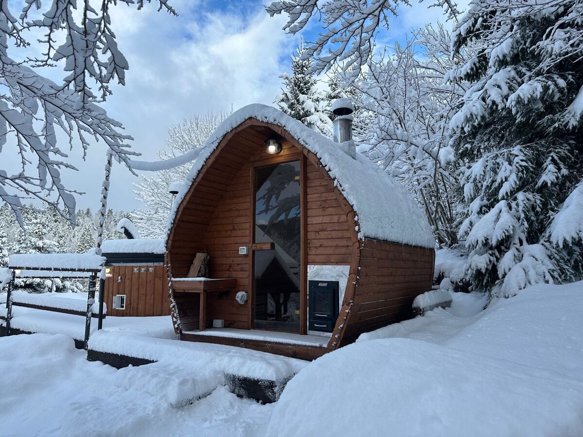 Cozy Bear Cabin, chalet 3 étages avec piscine chauffée - Photo 37